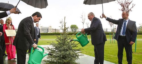 Regando-na-chuva-1123x509